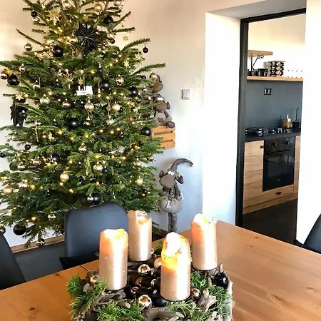 Vikendovy Dom - 펜션